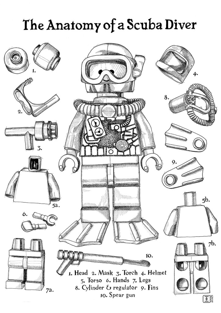 The Anatomy of a Scuba Diver Pen and ink drawing on Fabriano